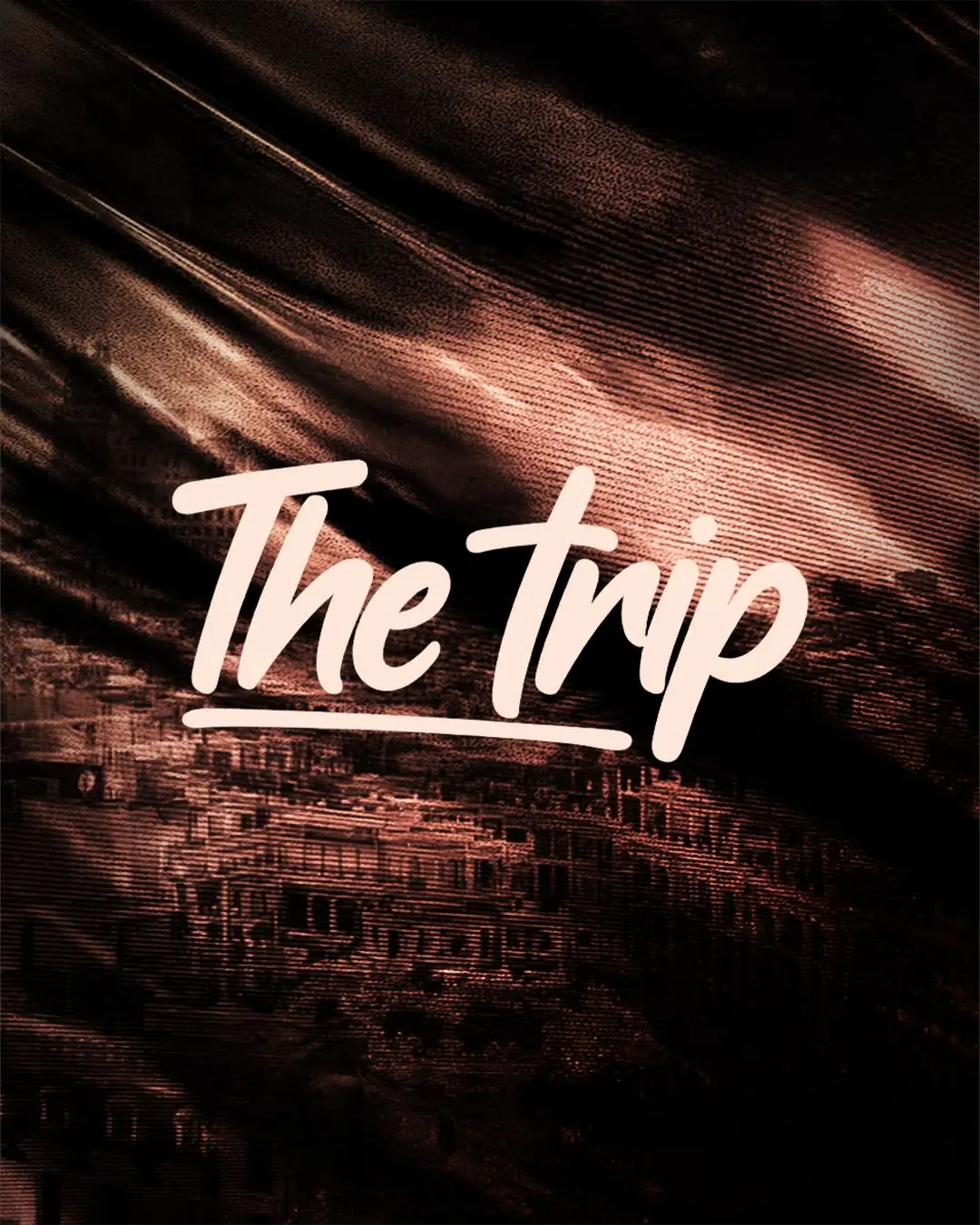 THE TRIP